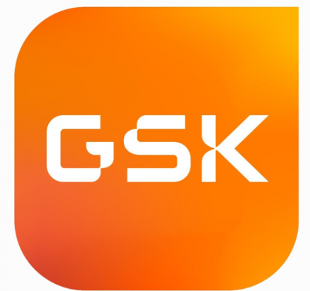 LOGO GSK WEB 2024